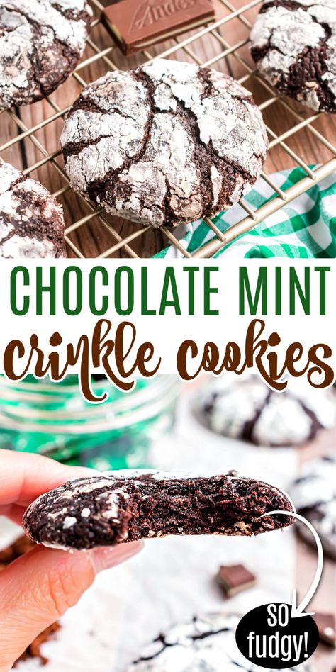 Chocolate Crinkle Cookies Recipe, Dark Chocolate Mint, Crinkle Cookies Recipe, Chocolate Crinkle, Chocolate Mint Cookies, Chocolate Crinkle Cookies, Festive Cookies, Chocolate Crinkles, Mint Cookies