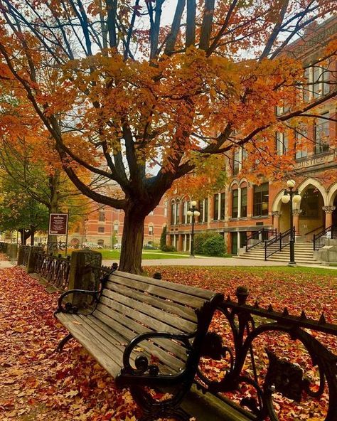 Fredericton Tourism on Instagram: "It’s the last call for fall – soak it up in #Fredericton 🍂 📷 : @untouched.gold 📍 : Downtown Fredericton C'est le dernier moment de l'automne - profitez-en à #Fredericton 🍂 #Fredericton #ExploreNB #ExploreFredericton #NewBrunswick #AtlanticCanada #FredTourism #FrederictonTourism #ExploreCanada #SupportFredLocal" Fredericton New Brunswick, Atlantic Canada, Pumpkin Spice Season, Explore Canada, Countries To Visit, Healthy Foodie, New Brunswick, Canada Travel, Last Call