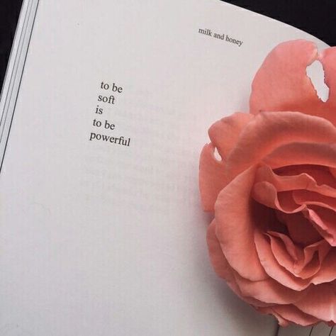 The Personal Quotes #love quotes #quotes #inspiration #inspirational #love #quote #tumblrquotes #typography #so true Milk And Honey Quotes, Honey Quotes, Be Soft, Milk And Honey, Open Book, Infj, Poetry Quotes, Pretty Words, The Words