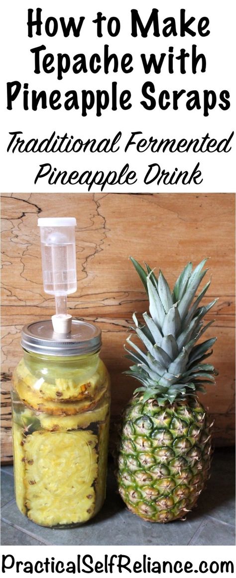 How to Make Tepache with Pineapple Scraps #pineapple #pineapplerecipes #fermentedfood #fermentation  #probiotics #healthygut #homestead #homesteading #selfreliant Pineapple Scraps, Canning Pineapple, Pineapple Drink, Nutrition Logo, Pineapple Water, Pineapple Drinks, Homegrown Food, Fermentation Recipes, Pineapple Recipes