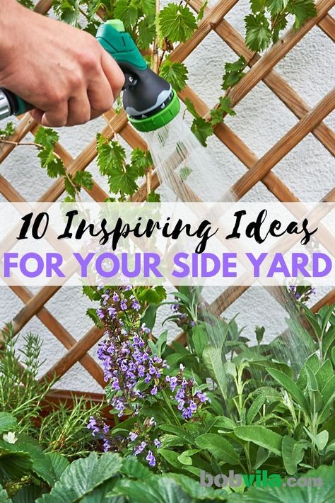 Cheap Side Yard Ideas, Gardening Side Of House, Outdoor Side Of House Ideas, Sitting Garden Ideas Side Yards, Narrow Side Yard Pathway Ideas, What To Plant Along Side Of House, Garden Between Houses, Front Side Garden Ideas, West Side Of House Landscaping Ideas