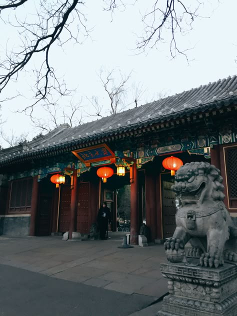 Peking University Chinese University, China University, China Aesthetic, University Aesthetic, Chinese Background, Peking University, Asian Architecture, Studying Abroad, Forbidden City