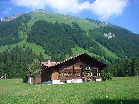 Wooded Homestead, Swiss Farmhouse, Norwegian Summer, Big Home, Farm Girl, Big Houses, Summer House, Switzerland, Farmhouse