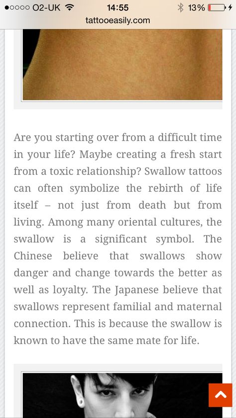 Meaning of a swallow tattoo Swallow Bird Meaning, Swallow Meaning, Swallow Bird Tattoo Meaning, Swallow Tattoo Meaning, Swallow Bird Tattoos, Bird Tattoo Meaning, Spiritual Care, Swallow Tattoo, Swallow Bird