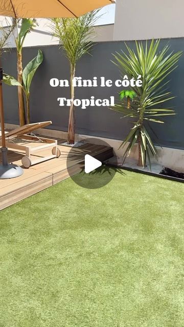 Cosy Casa on Instagram: "🌴Le côté tropical est fini 🌴  C’est ma parti préférée du jardin !  Nous avons planté des strelitzias, connues sous le nom d’oiseaux du paradis et des syagrus . De part et d’autre, il y avait déjà des yukas.  Les cailloux se marient très bien avec le vert des plantes !   Je suis fan +++ et vous vous aimez ?   #exterior #exteriordesign #exterieur #piscine #swimmingpool #decohome #homedecor #décor #decor #decoração #decoration #décoration #inspiration #inspideco" Strelitzia Garden Design, Terrasse Ibiza Style, Modern Tropical Garden Design Palm Trees, Fargesia Rufa, Papier Peint Palm Jungle, May 20, Belleza Natural, Outdoor Garden, Bali