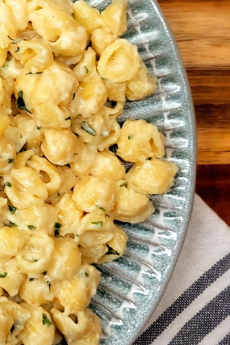 Creamy Garlic Shells, Garlic Shells, Shell Pasta Recipes, Shell Pasta, Garlic Cream Sauce, Pasta Side Dishes, Pasta Sides, Stuffed Shells Recipe, Garlic Pasta