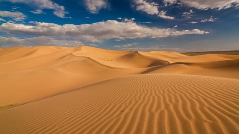 Dessert Landscaping, Desert Village, Desert Area, Desert Dunes, Dry Desert, Desert Colors, Sand Textures, Desert Life, Rc Truck