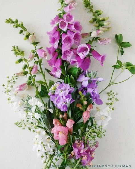 Foxglove stock verbascum snapdragons from the cutflowergarden of instagram.com/mirjamschuurman Herb Bouquet, Poppy Wedding, Pub Wedding, Goth Garden, Cottage Garden Design, Cottage Garden Plants, Flower Arrangements Simple, Cut Flower Garden, Garden Party Wedding