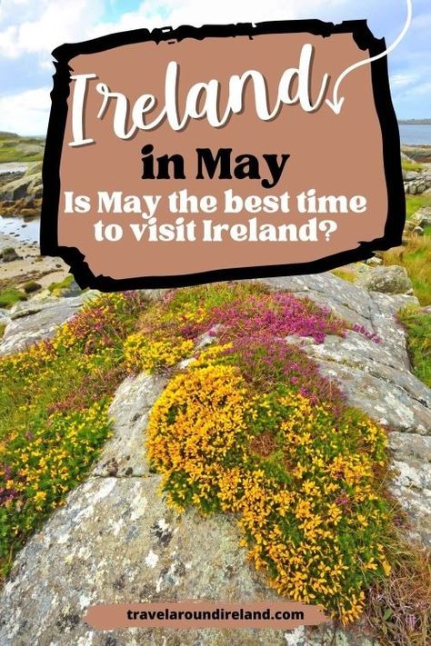 Wondering what it is like in Ireland in May? If you’ve been considering going to Ireland in May but have concerns, then read this article. From what the weather is like during May in Ireland, to where to go, what to do and what to pack, this answers all your burning questions about visiting Ireland in May. #travelaroundireland | Ireland in May | May in Ireland | spring in Ireland | Ireland in spring Spring In Ireland, Ireland In April, Ireland In June, Ireland In May, Ireland In Spring, Ireland Spring, Summer In Ireland, Ireland Summer, Visiting Ireland