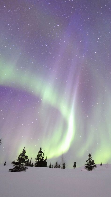 Aurora borealis Northern Aesthetic, Aurora Borealis Canada, North Europe, Northern Lights (aurora Borealis), Aurora Borealis Northern Lights, Belle Nature, Travel Wallpaper, Snow Scenes, The Aurora