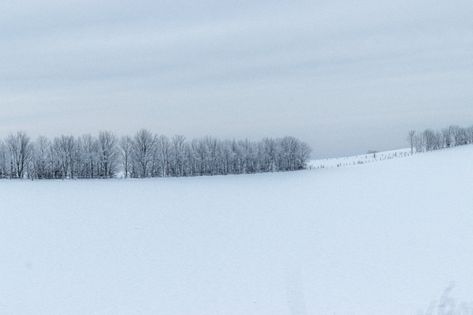 Snowy Field, Trees Beautiful, Bare Trees, Bare Tree, Snowy Forest, Cloudy Sky, Draw On Photos, Adobe Photoshop Lightroom, Photoshop Lightroom