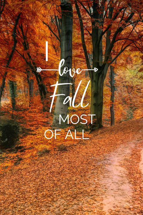 I Love Fall Most Of All, Happy Weekend Pictures, Happy Friday Weekend, Fall Baking Ideas, Fall Friday, Happy Weekend Images, Autumn Wallpapers, Weekend Images, Its Fall Yall