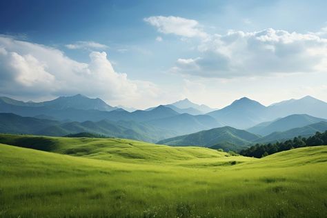 Field grass landscape grassland.  | premium image by rawpixel.com / Boom Environment Photography Landscape, Grass Field Painting, Hill Background, Grass Land, Agriculture Background, Environment Photography, Grassy Hill, Grass Landscape, Tea Farm