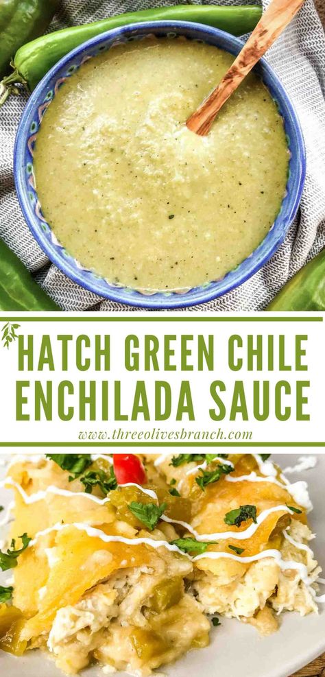 Hatch Chile Green Sauce for Enchiladas is a delicious simple and easy Mexican sauce recipe. Made with roasted peppers and spices for a quick sauce. Perfect to use on enchiladas or burritos and tacos. Sauce For Enchiladas, Homemade Green Chili, Mexican Sauce Recipes, Hatch Green Chili Recipe, Hatch Chili Recipes, Roasted Green Chili, Green Chili Enchiladas, Green Chile Enchilada Sauce, Green Chile Recipes