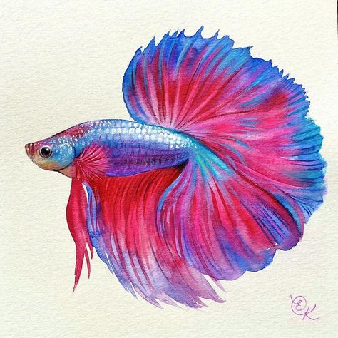 Beta Fish Drawing, Betta Fish Drawing, Blue Betta Fish, Betta Fish Tattoo, Fish Sketch, Parrot Painting, Fish Decor, Fish Drawing, Beta Fish