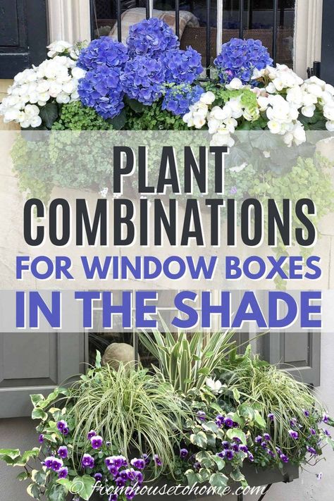 Window box ideas for shade Window Box Ideas, Flower Combinations, Impatiens Plant, Window Box Plants, Window Box Garden, House To Home, Window Box Flowers, Cascading Flowers, Window Planters