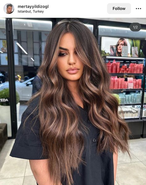 Hair Color For Brown Eyes, Chestnut Hair, Black Hair Balayage, Chestnut Hair Color, Brown Hair Looks, Brunette Hair With Highlights, Hair Techniques, Brunette Balayage Hair, Brown Hair Balayage