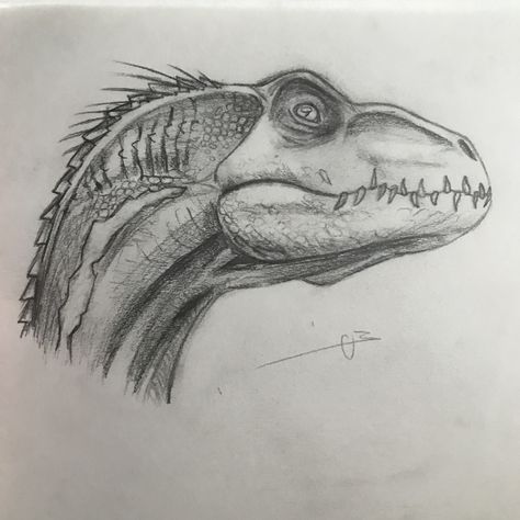 Dino Drawing, Dinosaur Sketch, Draw Realistic, Dinosaur Drawing, Animal Drawings Sketches, Jurassic World Dinosaurs, Paleo Art, Disegni Artistici, Dinosaur Art