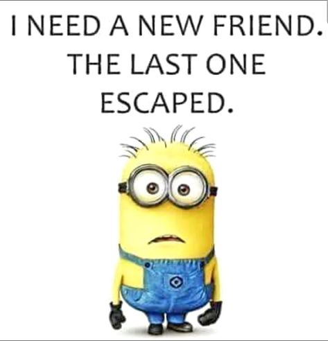 Birthday Friend Funny, Friend Funny Quotes, Minion Meme, Jokes To Tell, Funny Minion Memes, Minion Jokes, Birthday Friend, Friend Funny, Funny Jokes To Tell