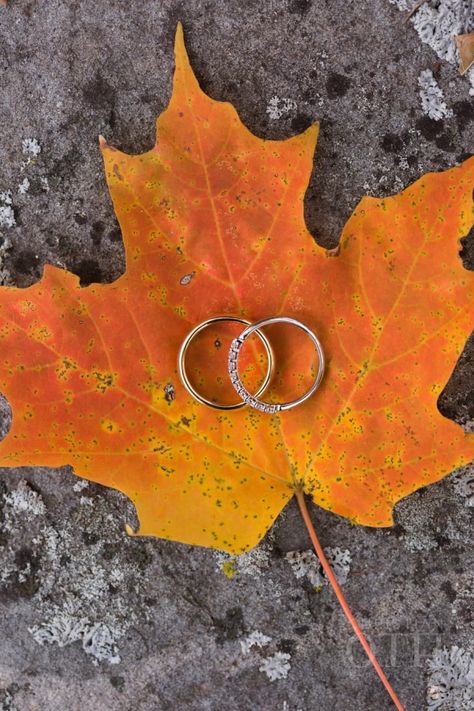 Wedding Colors April, Fall Wedding Ring, Fall Wedding Pictures, Fall Couples Photoshoot, Classic Fall Wedding, Couples Photoshoot Ideas, Shooting Couple, Fall Couples, Fall Wedding Photography