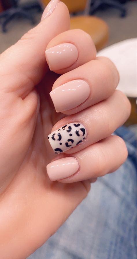 Leopard Manicure Ideas, Short Nail Designs Leopard, Nokti 2023, Fall Nails 2024 Leopard, Leopard Accent Nail Fall, Opi Neutral, Leopard Print Accent Nail, September Nails, Cute Nails For Fall