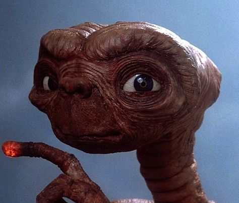 Spielberg came up with the concept for a sequel called E.T. II: Nocturnal Fears, where Elliott and his friends are kidnapped by other aliens and E.T. would come to their rescue. It would also be revealed that E.T.’s real name is Zrek. | 20 Fascinating Facts About "E.T. The Extra-Terrestrial" E T The Extra Terrestrial, Et The Extra Terrestrial, Tom Und Jerry, Jean Reno, Extra Terrestrial, 80s Movies, Famous Movies, Harrison Ford, Fascinating Facts