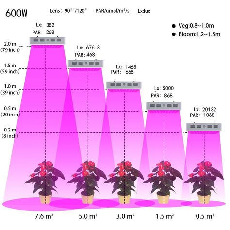 Amazon.com : ColoFocus 600W LED Indoor Plants Grow Light Kit, Full Spectrum with UV&IR for Indoor Greenhouse Plants Veg and Flower, Plants(10W Leds 60Pcs) : Patio, Lawn & Garden Plant Lamps, Tent Garden, Indoor Hydroponics, Indoor Grow Lights, Hydroponic Systems, Indoor Grow, Indoor Greenhouse, Grow Lights For Plants, Greenhouse Growing