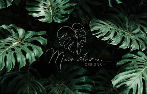 #logo #logodesign #design #graphicdesign #graphicdesignlogo #monstera #MonsteraDesigns #minimal #Monstera Plant Logo, Plant Logos, Nature Logo Design, Nature Logo, Hat Art, Leaf Logo, Monstera Plant, Brazilian Food, Natural Logo