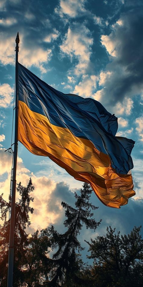 Independence Day Ukraine, Ukraine Wallpaper Iphone, Ukraine Flag Wallpaper, Wallpaper Ukraine, Ukraine Wallpaper, Ukraine Aesthetic, Phone Case Diy Paint, English Projects, Ukraine Flag