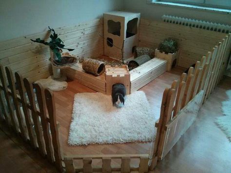 Great House Bunny Setup Tapsi Hapsi, Rabbit Playground, Indoor Rabbit House, Rabbit Pen, Diy Guinea Pig Cage, Cage Hamster, Rabbit Enclosure, Rabbit Habitat, Bunny Hutch