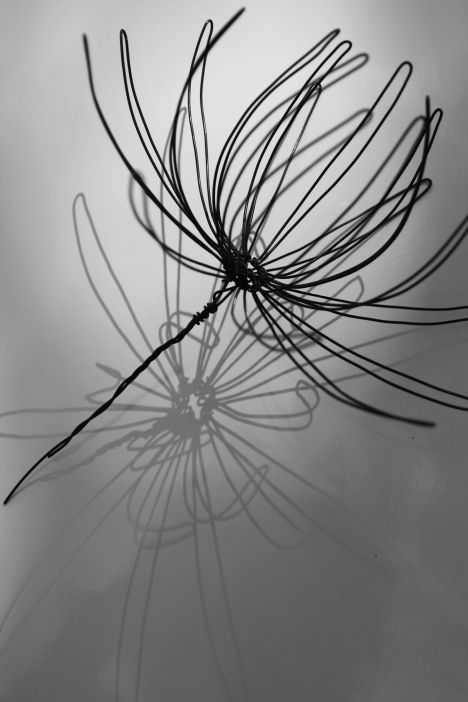 3D Wire Art, flower, made with mechanical wire and metal mesh, sprayed in black. | Teresa Leung 3d Wire Art, Art Fil, Wire Art Sculpture, Art Wire, Wire Flowers, Metal Art Welded, Garden Art Sculptures, Metal Art Projects, Wire Sculpture