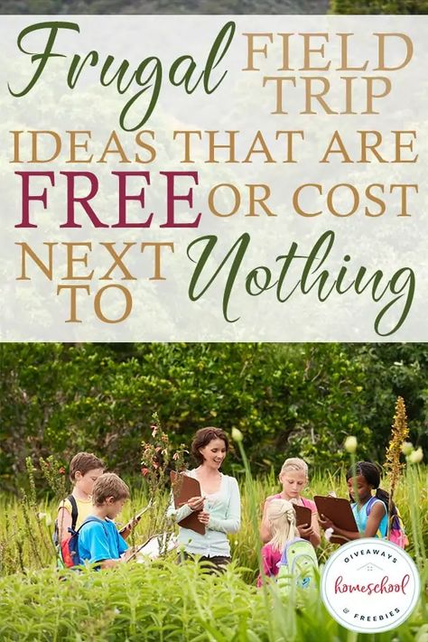 Field Trip Ideas, Homeschool Field Trips, Homeschool Freebies, Homeschool Education, Homeschool Inspiration, How To Start Homeschooling, Homeschool Schedule, Homeschool Learning, Homeschool Life