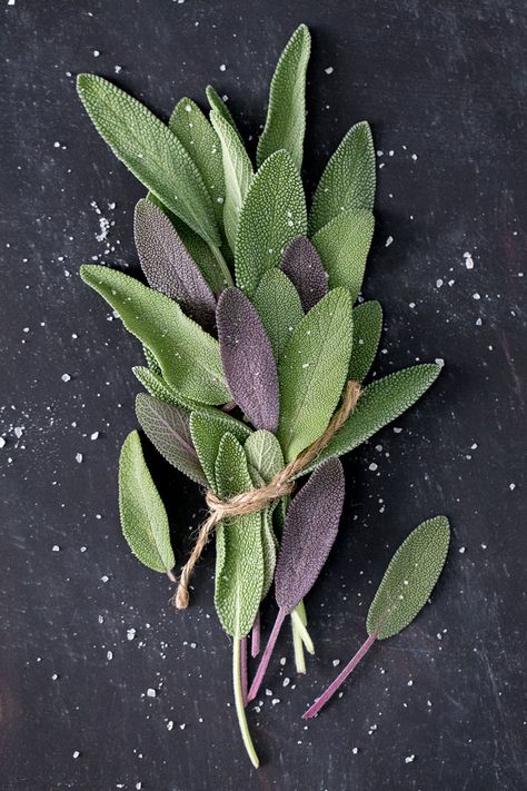 Sage Salt Recipe – Frances' Menu Tree Branding, Sage Salt, Sage Spice, Sage Herb, France Food, Sage Garden, Sage Plant, Flavored Salts, Pork Chicken