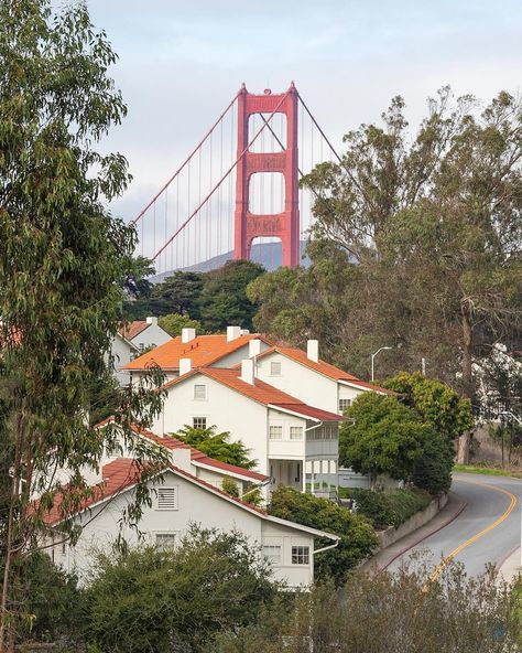 Michael Victor • San Francisco on Instagram: “This afternoon’s view of the Golden Gate Bridge from the Presidio. Before I took this photo, I was graciously invited to visit the…” Presidio San Francisco, San Francisco Ballet, Travel Buddy, The Golden Gate Bridge, Tag Your Friends, My Trip, Golden Gate Bridge, Golden Gate, The Golden