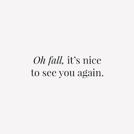 1st Day Of Fall, Happy First Day Of Fall, First Day Of Fall, Nice Weather, Fall Time, Fall Feels, 1st Day, Say More, Happy Fall