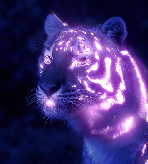 How to Add a Glow Effect in Photoshop Photoshop Glow, Purple Color Combinations, Animal Flow, Purple Color Palettes, Glow Effect, Black Tigers, Neon Glow, Color Balance, Luminous Colours