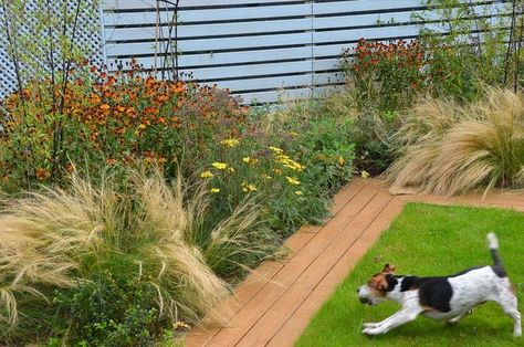 Dog Backyard Area, Dog Yard Landscaping, Pet Friendly Backyard, Small Yard Design, Backyard Dog Area, Small Garden Plans, Dog Friendly Garden, Dog Friendly Backyard, Dog Backyard