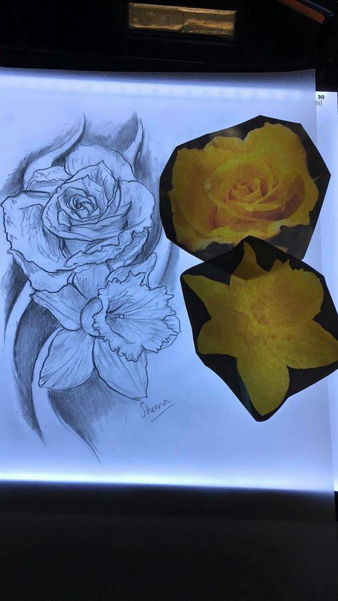 Rose and daffodil tattoo had designed for my grandparents by the talented Matt Cox Rose Daffodil Tattoo, Rose And Daffodil Tattoo, Daffodil Bouquet Wedding, Daffodil Photography, Daffodil Flower Tattoos, Daffodil Craft, Daffodil Wedding, Daffodil Bouquet, Thistles Art