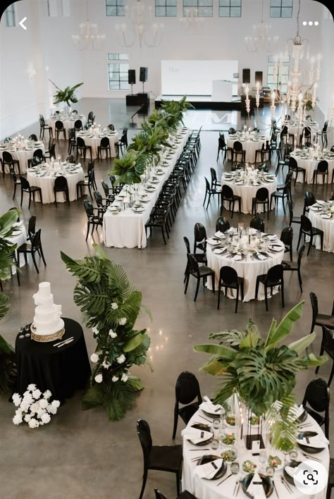 Boxwood Decor Ideas Wedding, Formal Party Decorations Ideas, White Table And Chairs Wedding, Mixed Tables Wedding Reception, Black And White Tropical Wedding, All Black Wedding Reception, Black And White Reception Decor, Green Black Wedding, Black Wedding Table Setting