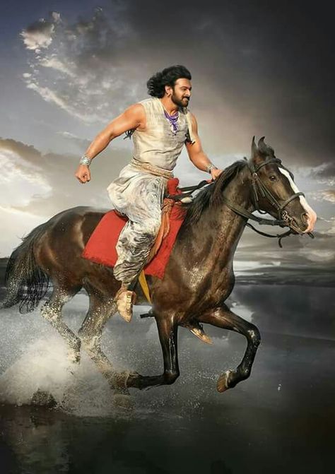 Prabhas Birthday, Bahubali Movie, Prabhas And Anushka, Darling Prabhas, Bahubali 2, Darling Movie, Surya Actor, Prabhas Actor, Horse Reference