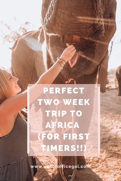 South Africa 2 Week Itinerary, Africa Trip Itinerary, South Africa Itinerary 10 Days, South Africa Trip, South Africa Bucket List, South Africa Honeymoon, South Africa Itinerary, South Africa Vacation, African Vacation