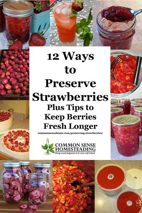 Tips for fresh strawberry storage, my favorite ways of preserving strawberries for long term storage, and some fun strawberry storage ideas from friends. Preserving Strawberries, Preserve Strawberries, Strawberry Storage, Preserving Produce, Freezing Strawberries, Homemade Fruit Leather, Fresh Strawberry Recipes, Canning Fruit, Canning Food Preservation