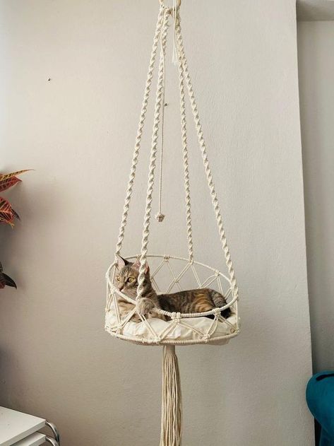 Cat Macrame Bed, Hanging Bed Diy, Macrame Pet, Cat Boxes, Macrame Bed, Cat Bed Pattern, Macrame Cat Hammock, Chat Diy, Macrame Basket