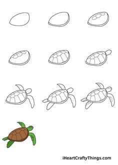 Drawing A Turtle Step By Step, Turtle Images Clip Art, Pictures Of Turtles To Draw, How To Draw Sea Turtle, How To Draw A Turtle Step By Step, How To Draw A Sea Turtle, Sea Turtle Painting Acrylic Easy, How To Draw A Turtle, Draw Sea Turtle