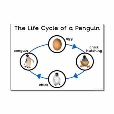 'The Life Cycle of a Penguin' A3 Poster Penguin Life Cycle Free, Life Cycle Of A Penguin, Penguin Life Cycle, Life Cycles Preschool, All About Penguins, Animal Life Cycles, Early Years Classroom, Penguin Craft, 1st Grade Science