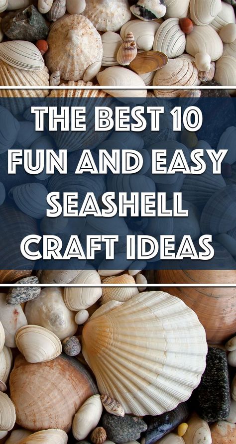 Here are ten fun and easy seashell projects to inspire you! Are you ready to DIY? Seashell Magnets, Shell Craft Ideas, Seashell Coasters, Seashell Mirrors, Seashell Photo, Scallop Shell Craft, Beach Crafts Diy, Seashell Art Diy, Sea Shells Diy