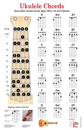 ukulele chords poster Kunci Ukulele, Akordy Na Ukulele, Kunci Piano, Akordy Gitarowe, Learning Ukulele, Ukulele Chords Chart, Cool Ukulele, Ukulele Chords Songs, Not Musik