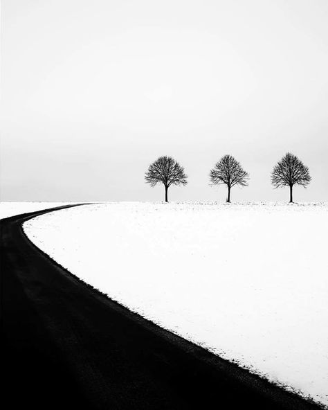 Eric Mörschel Black And White Landscape, Minimalist Photography, Black And White Portraits, Winter Landscape, Winter Scenes, White Photography, 그림 그리기, Black And White Photography, Fine Art Photography