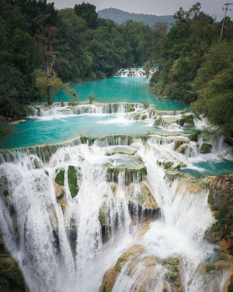 Exploring Waterfalls In La Huasteca Potosina, Mexico — Blog — Jess Wandering Mexico Waterfalls, Water Playground, Famous Waterfalls, Scenic Photography, Blow Your Mind, Mexico Travel, Vibrant Blue, Funny Cartoons, Great View