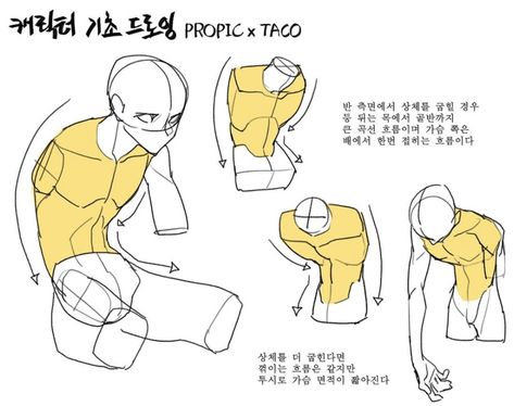 When the upper body is bent at half, the back is represented by the big curved line from the neck to the pelvis, and the front is the line from the chest and folds at the belly. If the upper body is bent further, the flow will be the same, but the thorax area will seem shorter because of the perspective. Concept Drawing, Taco Taco, Anatomy Tutorial, Body Drawing Tutorial, Human Anatomy Drawing, Human Anatomy Art, Anatomy Sketches, Different Poses, Body Reference Drawing